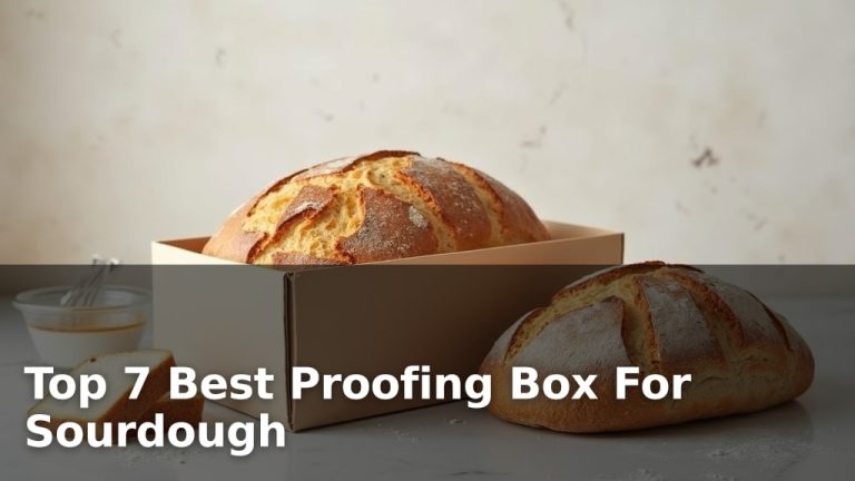 Top 7 Best Proofing Box For Sourdough